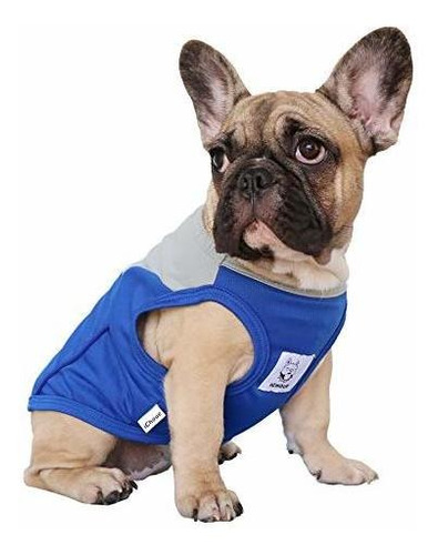 Camiseta Rápida Para Perros  Ichoue 