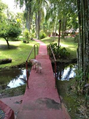Imagem 11 de 14 de Rancho Em Pedro De Toledo 14000m² Com 5dorm, 8377