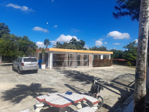 Finca Disponible, Casa Principal, Local Comercial, Casa De Capataz Y Gran Terreno Sembrado De Plátanos, Yuca, Naranjas Y Otros (jpc-232)