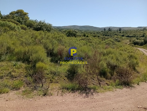 Imagen 8 de 12 de 10 Hectáreas En Las Cañas