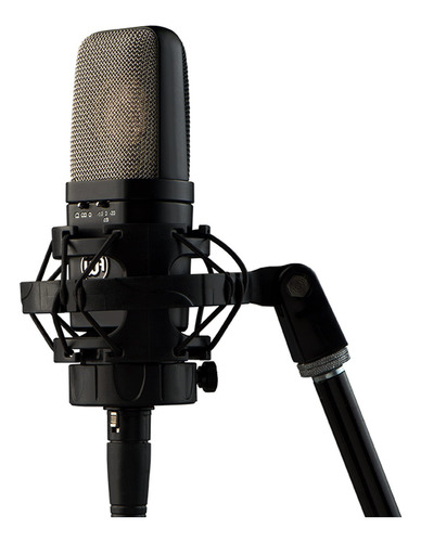 Audio Caliente Wa-14 Microfono Condensador