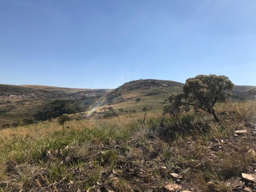 Area Para Venda Em Capitolio-mg Na Serra Da Canastra Com 10 Alqueires No Caminho De Escarpas Do Lago - Ar00006 - 33580781