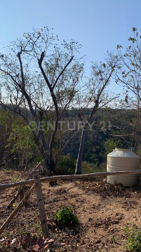 Lote En Venta En Zipolite Arroyo Tres, 960 Mts2.