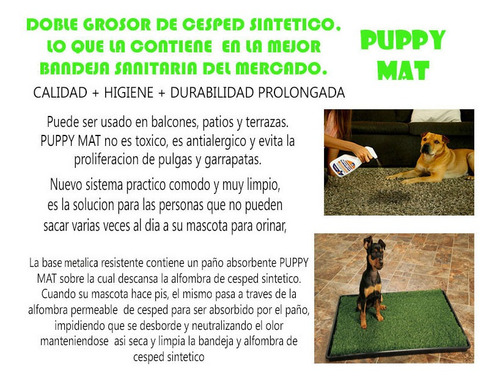 Bandeja Sanitaria Baño Mascotas Pet Cesped Perros 53 X 40