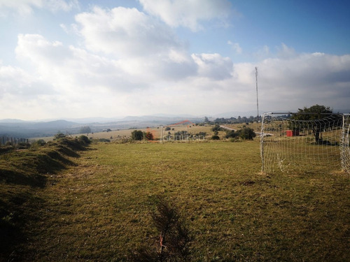 Imagen 14 de 30 de Venta De Chacra Con Vivienda, Ruta 12 Próximo A Pueblo Edén