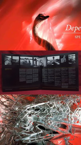 Lp Vinil Depeche Mode - Speak And Spell (edição Canadense) Estandar