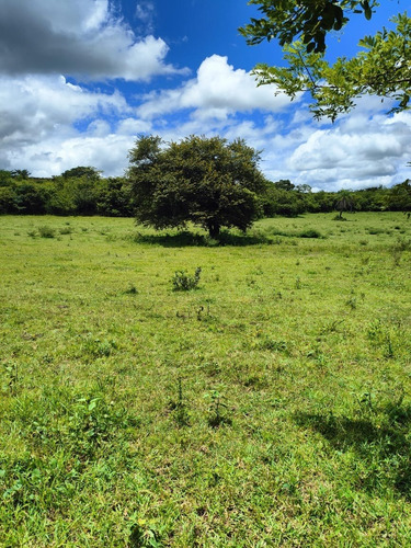 Imagen 8 de 14 de Guanacaste, Bagaces Vendo Finca. Financio El 70% Directo Sin Banco