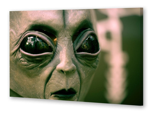 Cuadro 30x45cm Ovni Roswell Extraterrestre Alien P1