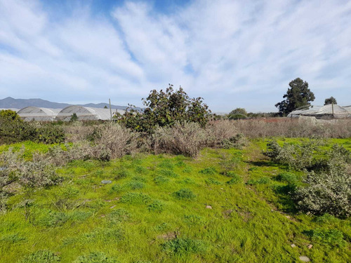 ¡venta De Parcela En El Boco, Quillota! (36476)
