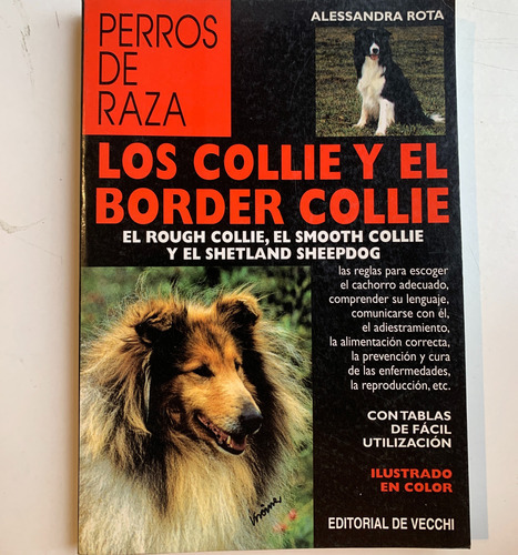 Los Collie Y El Border Collie Alessandra Rota