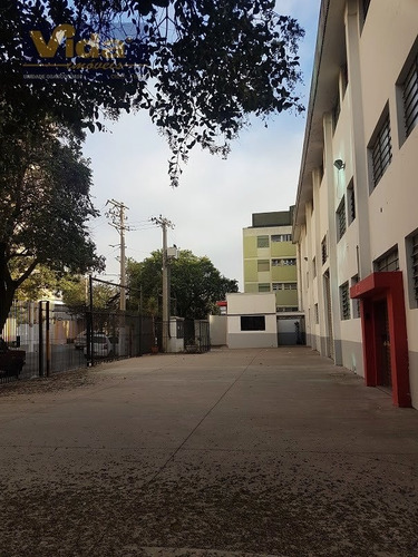 Imagem 5 de 8 de Galpão Em Barra Funda - São Paulo - 41229