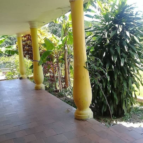 Imagen 3 de 16 de Se Vende Finca En El Polvero San Diego