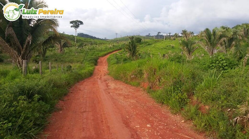 Imagem 14 de 15 de Fazenda Em Breu Branco - Pa - 2.584,56 Hectares (dupla Aptidão) - 2158