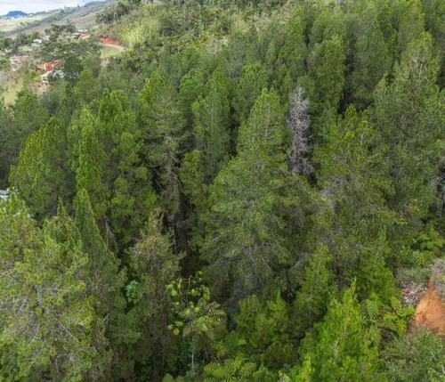 En Venta Lote En Tocota Valle Del Cauca