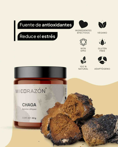 Mico Corazón | Hongo Chaga: Antiinflamatorio