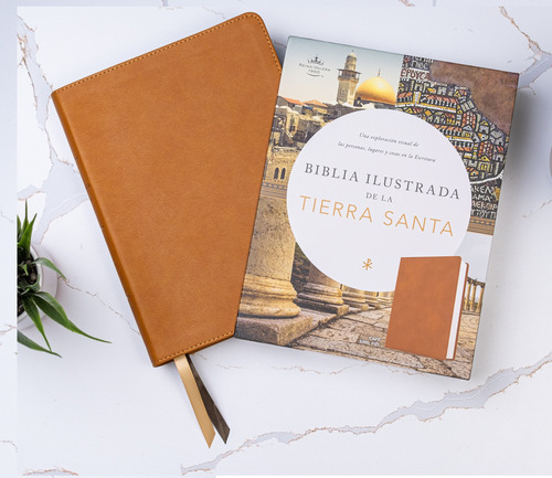 Rvr 1960 Biblia Ilustrada Tierra Santa Café Símilpiel Ind