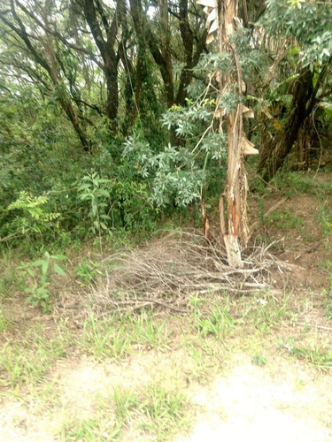 Imagem 12 de 14 de Vendo Chacara Regiao De Salto De Pirapora-sp (4243 )