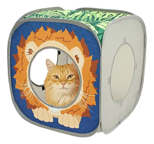 Gatito Ciudad Popup Gato Cubo Gato Juguetes