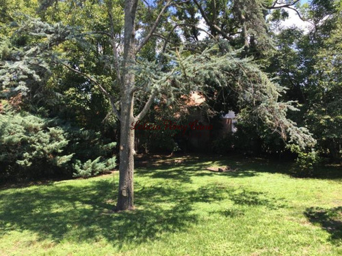 Imagen 10 de 12 de Venta Casa 2 Dormitorios En Pinares, Playa Mansa