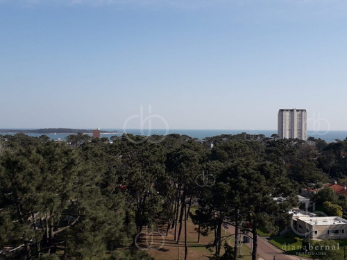 Imagen 6 de 21 de Apartamento En Zona De Roosevelt