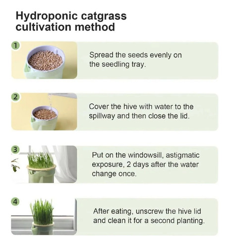 Bonsái De Plántulas De Pasto Y Trigo: Kit Hidropónico Sin Su