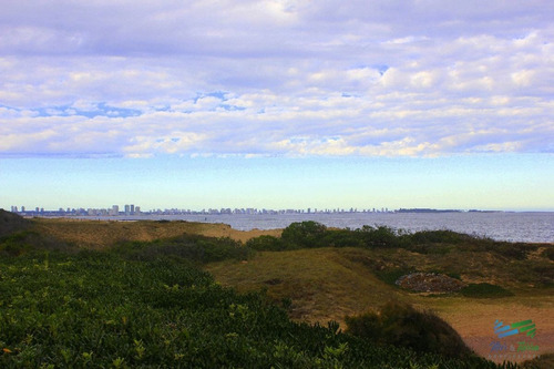 Imagen 8 de 11 de Venta Terreno Primera Linea Playa Mansa - Punta Del Este Mansa