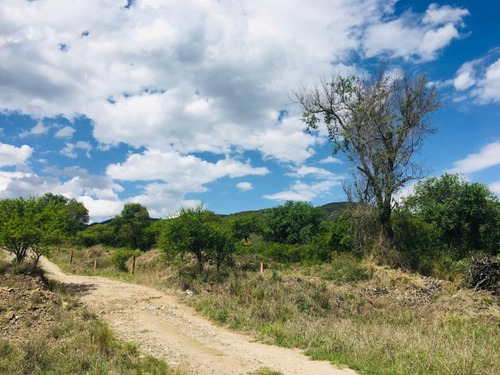 Imagen 16 de 21 de Venta Campo Comercial Sobre Ruta N5 - Villa General Belgrano- Inv0052