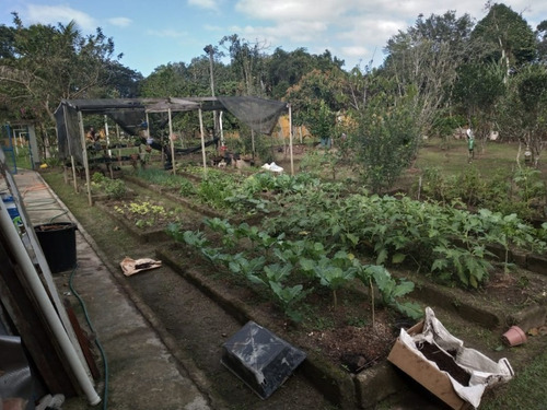 Chácara Em Itanhaém (venda E Locação) - 5042 - 68136688