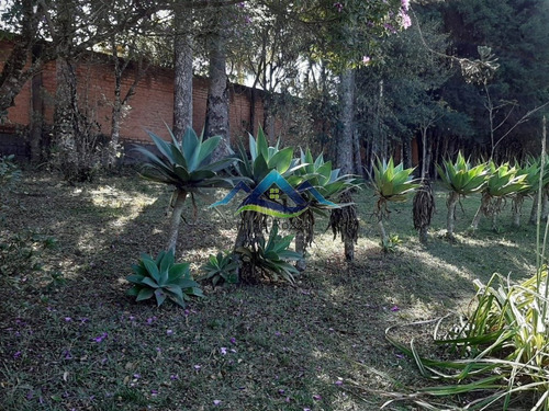Imagem 2 de 8 de Chacara - Centro - Ref: 1072 - V-1072