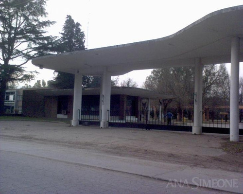 Imagen 2 de 6 de Nave Industrial - B.las Catonas