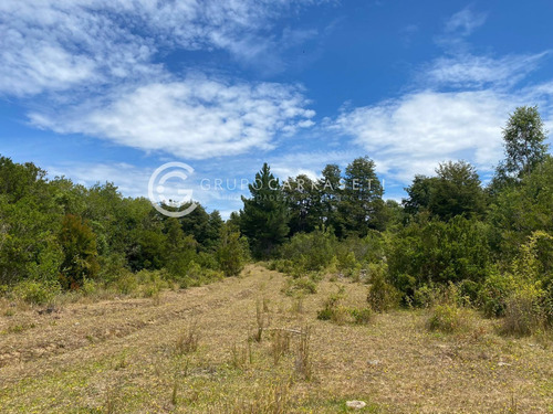 Campo Con Acceso A Rio Cercano A La Unión