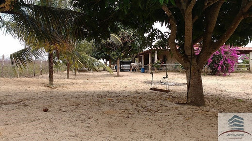 Imagem 8 de 30 de Granja A Venda Entre Monte Alegre E Brejinho