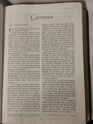 Net Bible, Reader's Edition, Biblia Inglés, Cuero, Premium (Usado)