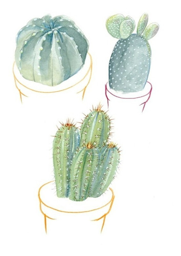 Imagen 6 de 7 de Marcadores Acuarelables Winsor & Newton Promarker X12