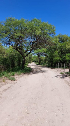 Imagen 4 de 13 de Venta De Terrenos En Villa De Las Rosas Traslasierra Cordoba