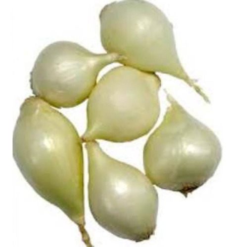 Cebolla Perla Blanca 2834g