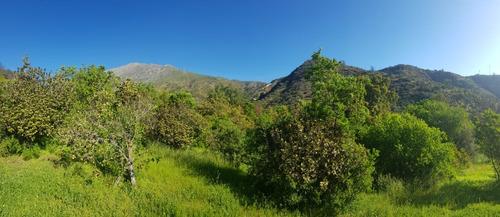 Hermosa Parcela En Olmué, Sector La Dormida