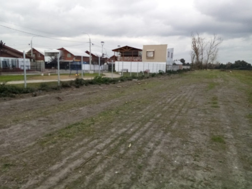 Imagen 4 de 11 de Terreno Chillán 14 Hectáreas Sector Río Viejo