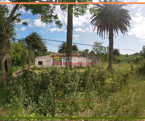 Imagen 13 de 25 de Chacra 3 Has En Melilla, Zona Uam, Cno Polvorin, Construcciones A Reciclar.