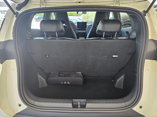 Dolphin Mini Ev