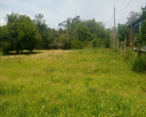 Chácara 2.000 M² - Lomba Grande - Novo Hamburgo - Rs - 1281 - 32419802