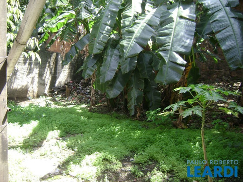 Imagem 12 de 15 de Terreno - Bom Retiro - Sp - 558953