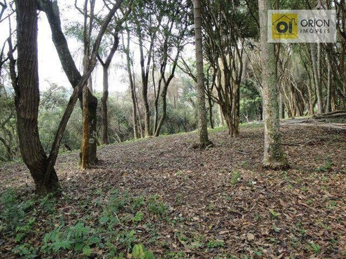 Imagem 2 de 3 de Terreno Residencial À Venda, Quintas De Maria Elvira, Santana De Parnaíba. - Te0606