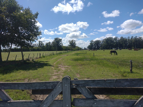 Campo En Venta Sobre Ruta 6, Marcos Paz