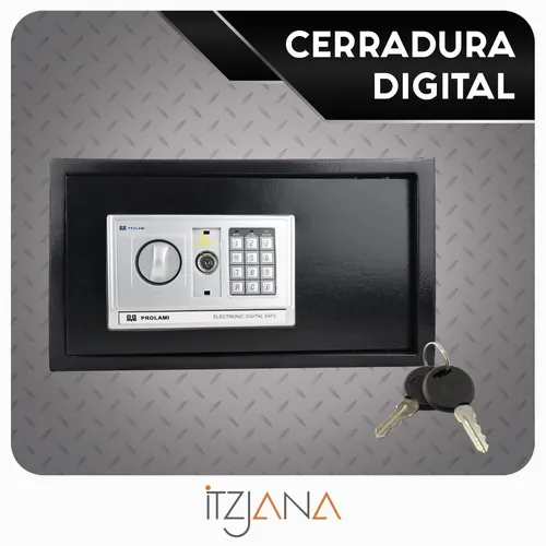 Caja Fuerte Electrónica De Seguridad Codigo Digital Y Llave Color Gris