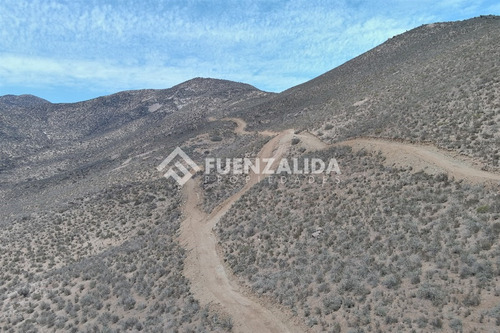 22 Parcelas De 5,000 M2 En Venta El Hinojal,valle De Elqui.