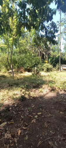 ¡gran Oportunidad! Parcela 10,000m² En La Pintana