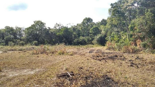 Imagem 15 de 16 de Ótima Área Para Sítio Com 27.500 M² De Área Total, Com Riacho, Construção Para Terminar, No Balneário Gaivota, Em Itanhaém Ref: 4690/ac