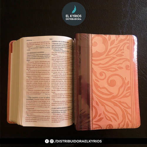 Biblia Letra Grande Tamaño Manual Rosa