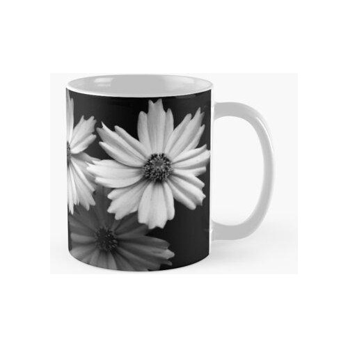 Taza Fotografía Hermosa Margarita Blanco Y Negro Calidad Pre